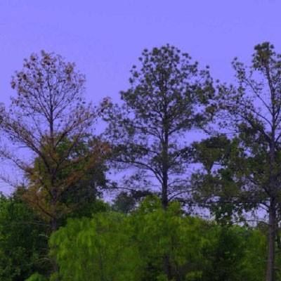 亿博手机端app下载安装